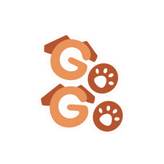 Go Go Fun Learning